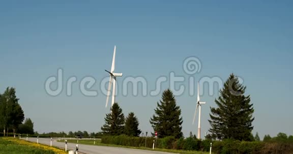 道路旁两棵风车和松树4KFS700奥德赛7Q视频的预览图