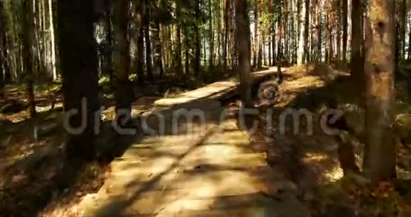 木制小径穿过凉亭4KFS700奥德赛7Q视频的预览图