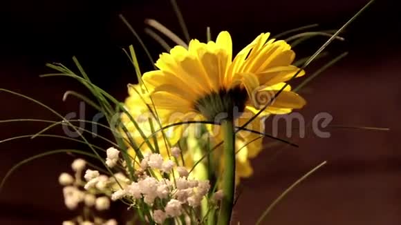 向日葵黄色雏菊视频的预览图