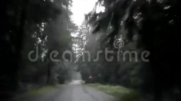 雨刮狂叫汽车在木质高速公路上行驶视频的预览图