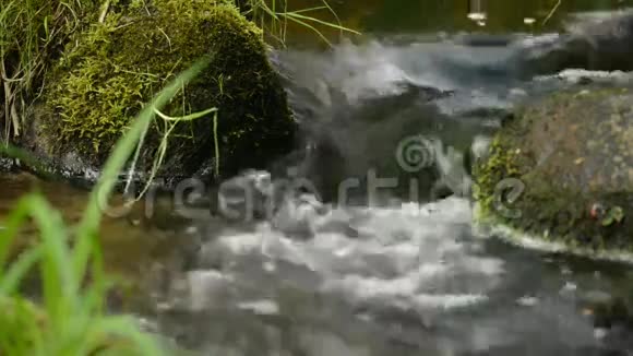 从石头里流出来的水视频的预览图