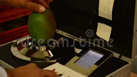 芒果水果热带试验线工业视频的预览图