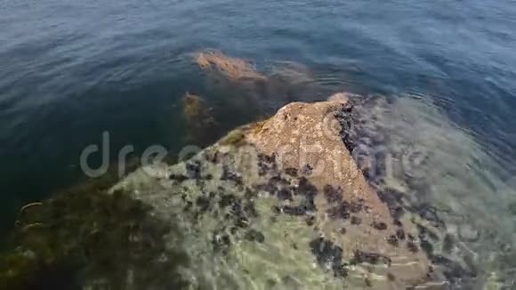 海水冲刷的岩石特写视频的预览图