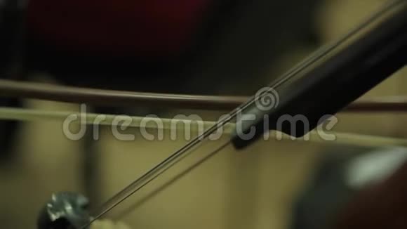 音乐家拉小提琴视频的预览图