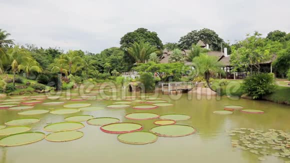 热带花园与维多利亚雷贾视频的预览图