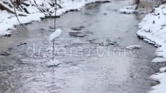 冰水在湍急的泉水中流淌树枝触着小溪视频的预览图