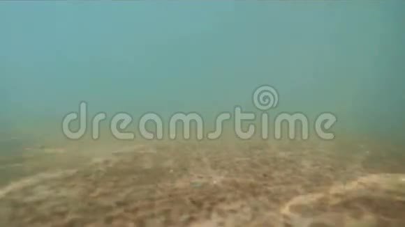 水下海面流动视频的预览图