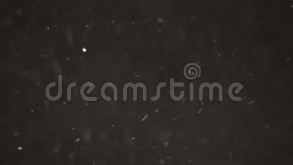 尘埃粒子背景视频的预览图