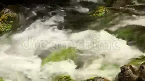 清澈干净的水流在小溪里视频的预览图
