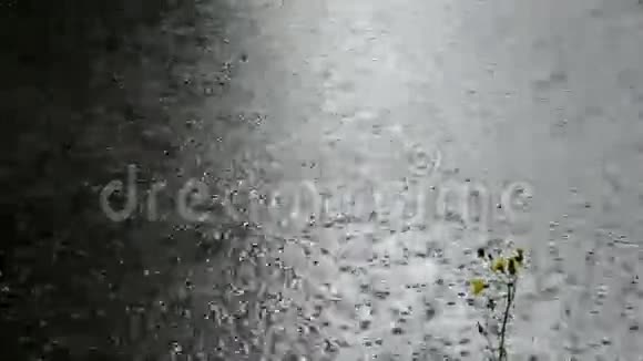 夏雨滴在湖水上视频的预览图