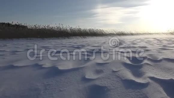 美丽的风景雪漫天和大风视频的预览图
