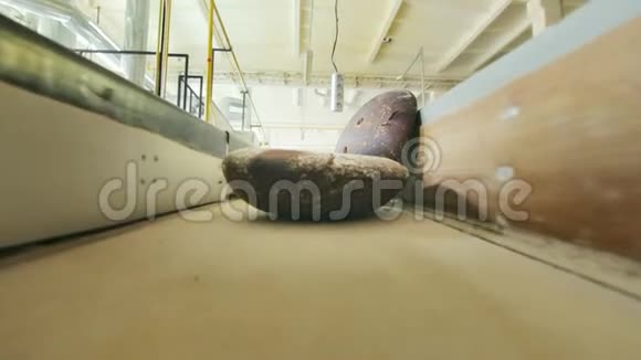 工厂传送带上的面包产品面包生产线视频的预览图