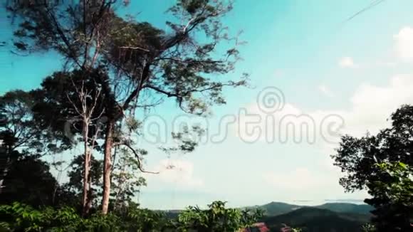 丛林中热带森林的景色泰国视频的预览图