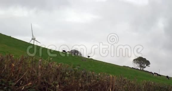 风车在绿色的田野上旋转视频的预览图