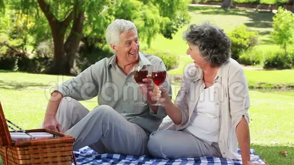 成熟的一对夫妇碰杯红酒视频的预览图