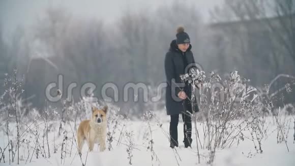 带着狗走路的女人视频的预览图