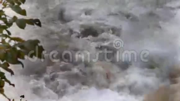 一条泥泞的湍急的河流视频的预览图