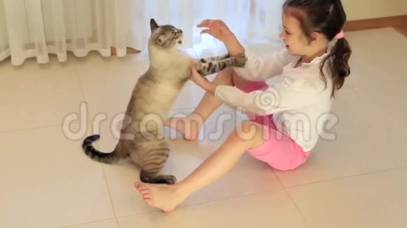 玩猫游戏的小女孩视频的预览图