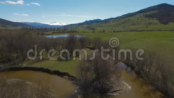 飞越树木到山湖的空中飞行视频的预览图