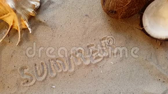 用贝壳和椰子在海滩的沙滩上写下夏天这个词视频的预览图