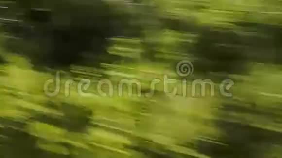 高速路过绿树的景色视频的预览图