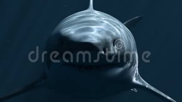 黑暗深处的大白鲨巨龙3D动画4K视频的预览图