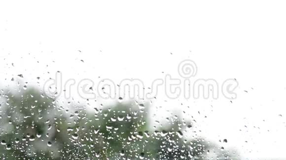 离焦的树窗户上的雨滴视频的预览图