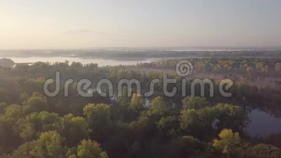 河流晨曦与森林视频的预览图