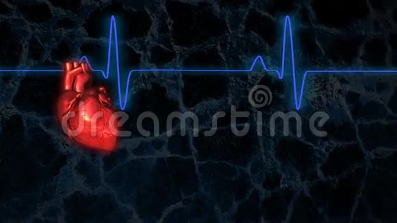 心电图循环跳动心脏视频的预览图
