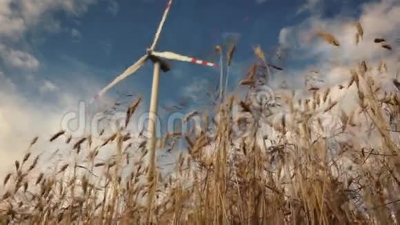 用风力涡轮机缓慢地滑过小麦视频的预览图