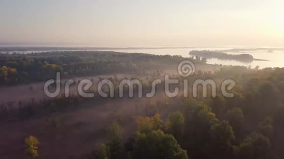 河流晨曦与森林视频的预览图