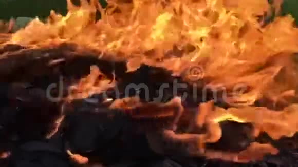 篝火正在燃烧视频的预览图