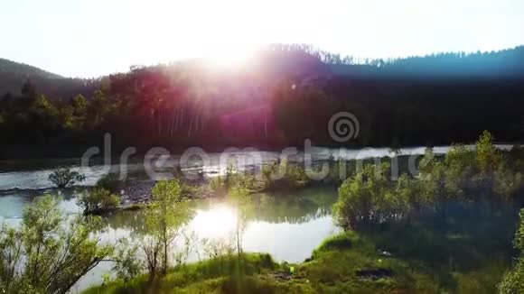 近山的绿色森林和河流的空中全景阿尔泰西伯利亚空中摄影机拍摄视频的预览图