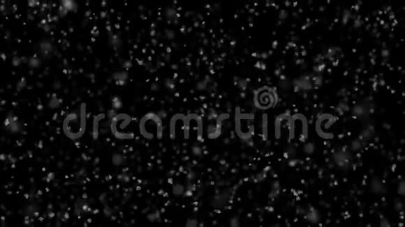 美丽的降雪平静的天气无缝的黑色背景慢动作循环三维动画阿尔法马特4k超高视频的预览图