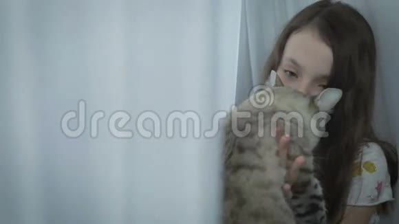 美丽的小女孩轻轻地与你心爱的猫在窗口交流视频的预览图