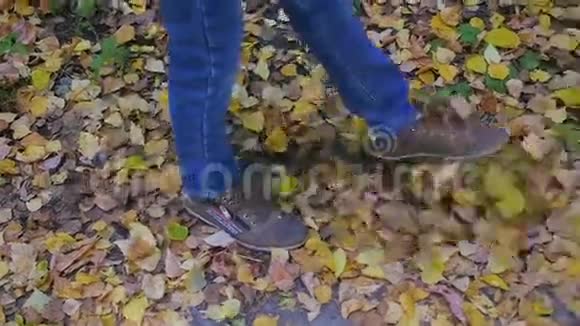 一个在公园散步的孩子在秋天的树叶上视频的预览图
