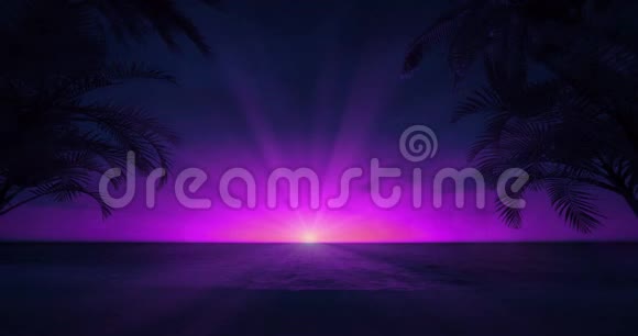 紫色的傍晚天空阳光灿烂环绕着热带棕榈滩视频的预览图