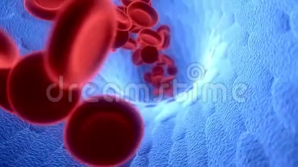 红细胞在血流中移动在动脉中移动视频的预览图