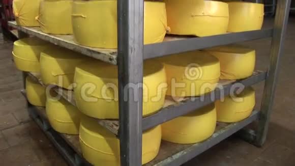 生产奶酪的工厂奶酪包装视频的预览图
