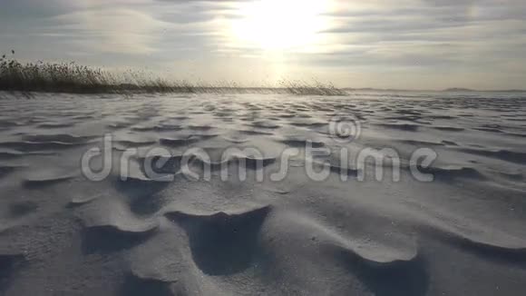 美丽的风景雪漫天和大风视频的预览图