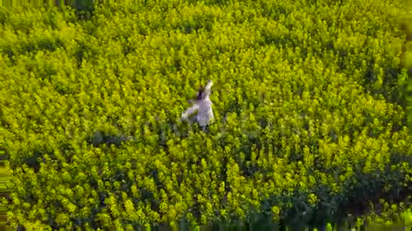 一位年轻女子双臂伸展在黄色的油菜田里视频的预览图