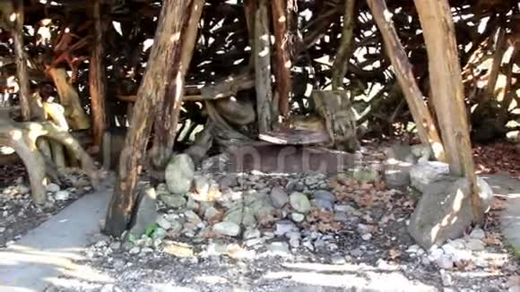 在巫婆屋里木棍和壁炉周围的一些大根视频的预览图