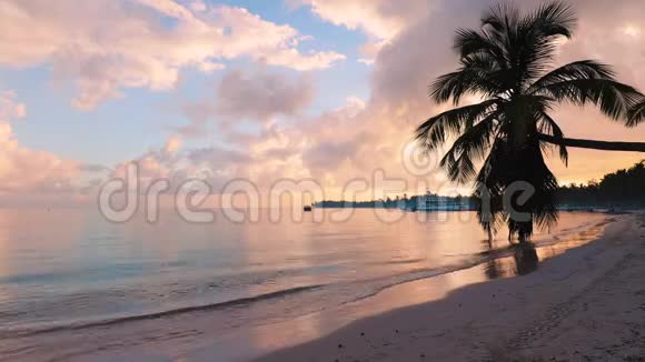 日出覆盖热带海滩和棕榈树早上在异国情调的加勒比海岛视频的预览图