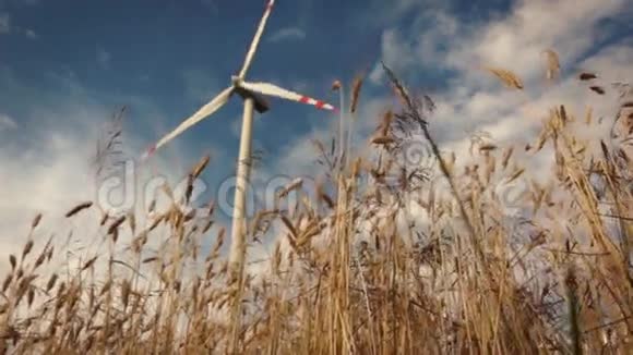 用风力涡轮机缓慢地滑过小麦视频的预览图