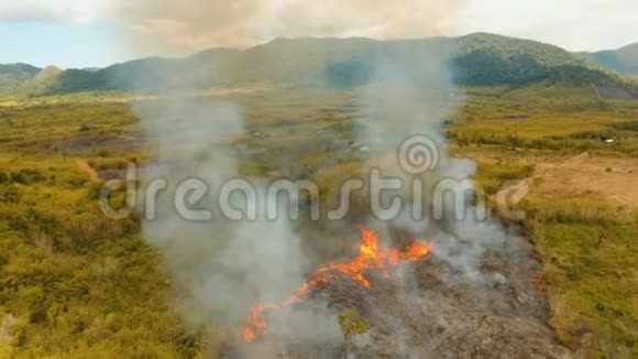 鸟瞰森林火灾菲律宾巴拉望布桑加视频的预览图