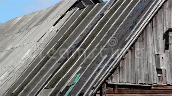 柏油的香柏松木瓦屋顶视频的预览图
