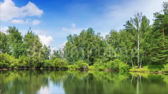 云下夏日森林的池塘视频的预览图