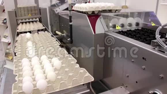 蛋鸡包装设备视频的预览图