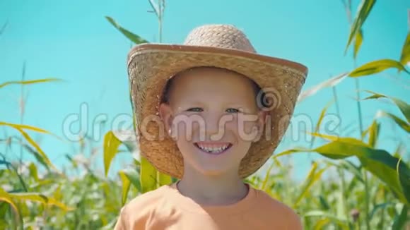 一个穿着草帽在玉米地里微笑的男孩的肖像视频的预览图