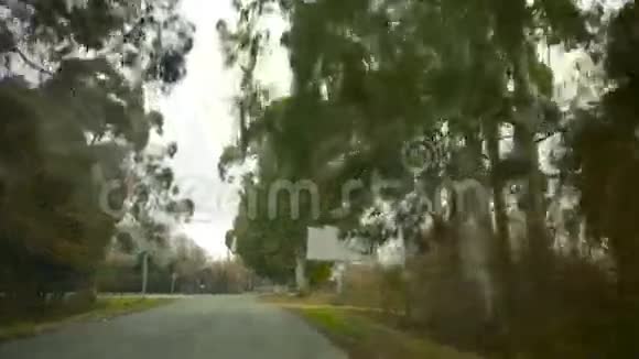 沿着小巷开车道路两旁的树木视频的预览图